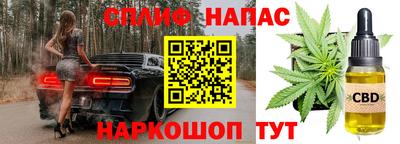амф Усть-Джегута